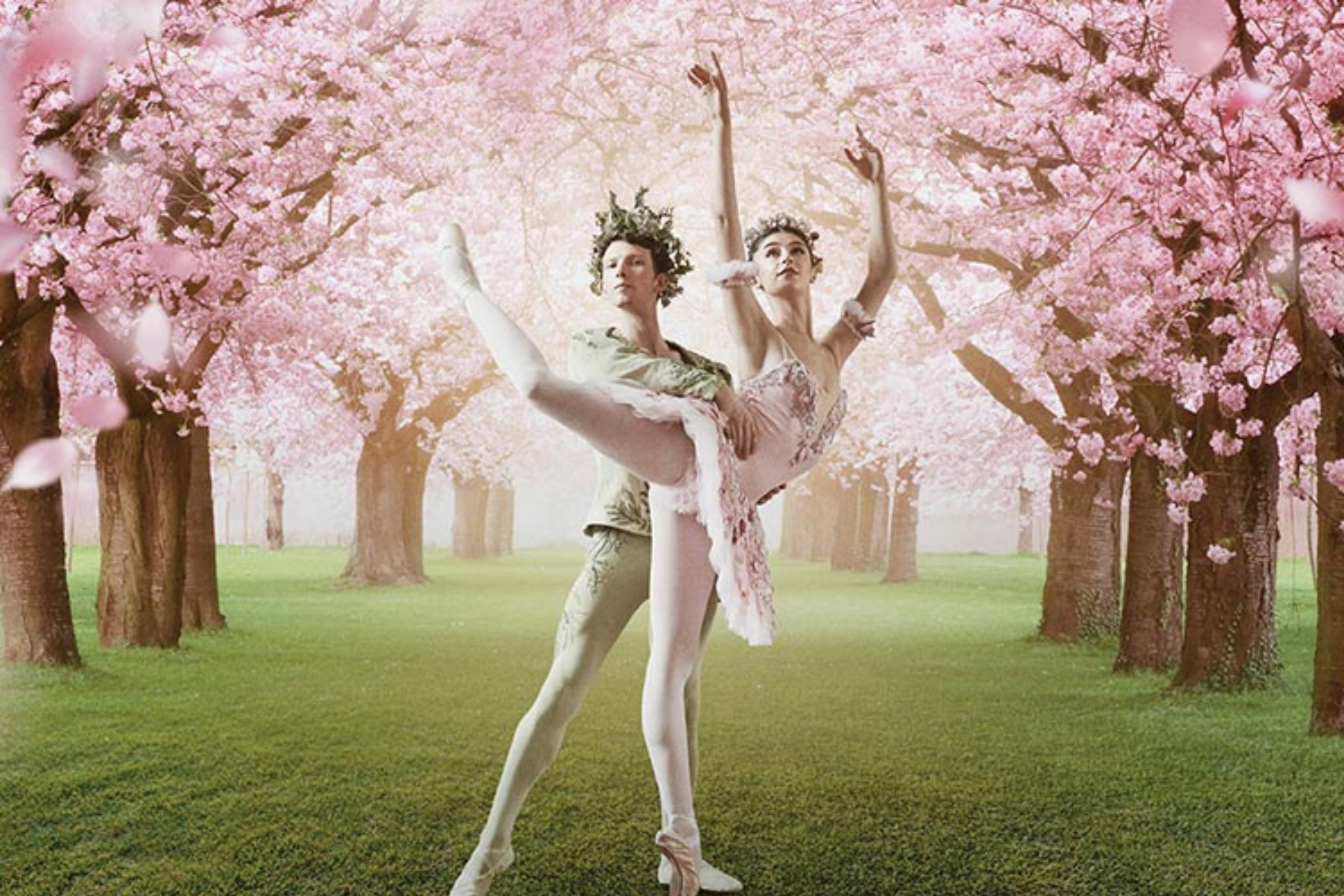 The Creative Art Of Ballet